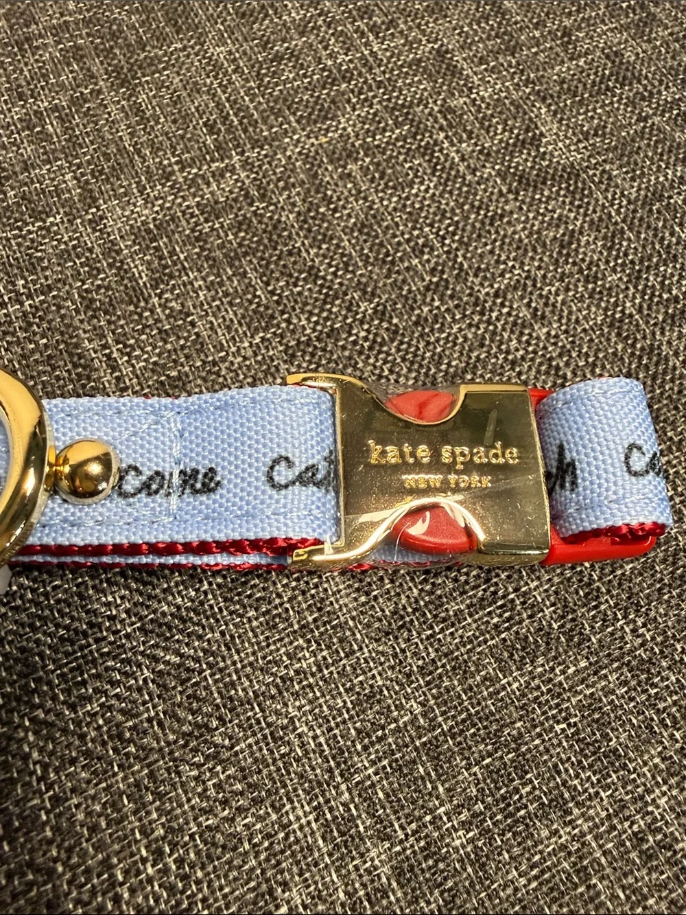 kate spade Raining Cats and Dogs Printed Pet Collar with Gold Hardware S/M